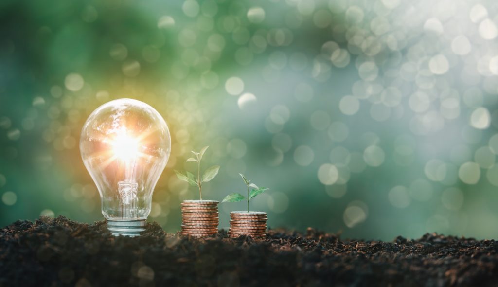 Il meccanismo unionale di finanziamento dell’energia rinnovabile