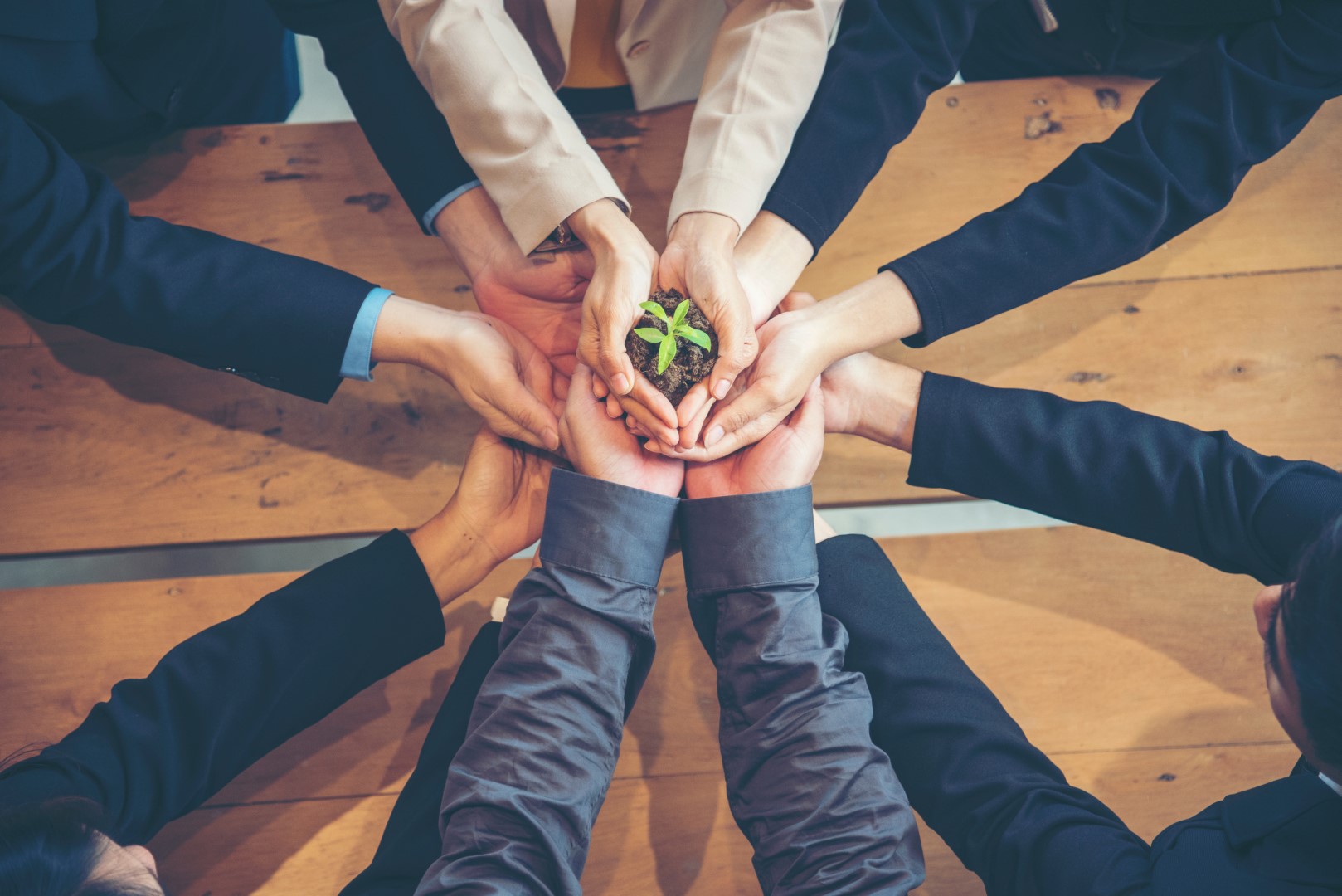 Introduzione agli standard per la sostenibilità in azienda