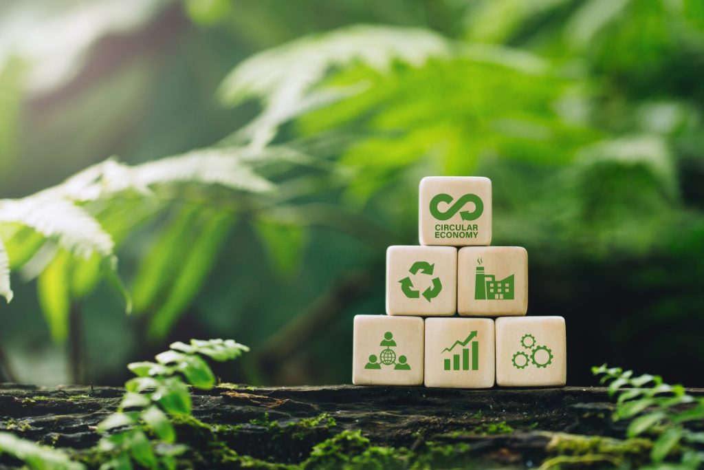 Introduzione alla Circular economy
